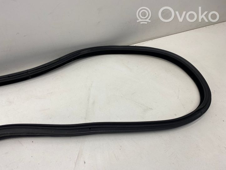 BMW 3 GT F34 Rear door rubber seal (on body) 