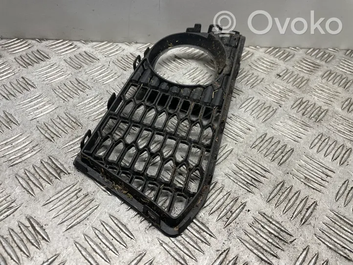 BMW 5 F10 F11 Grille inférieure de pare-chocs avant 7906198