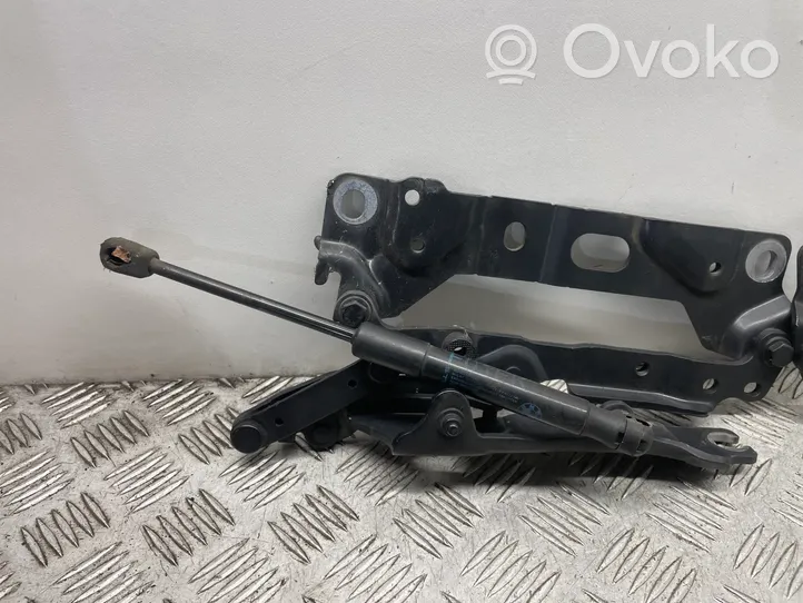 BMW 7 F01 F02 F03 F04 Cerniere del vano motore/cofano 7184190