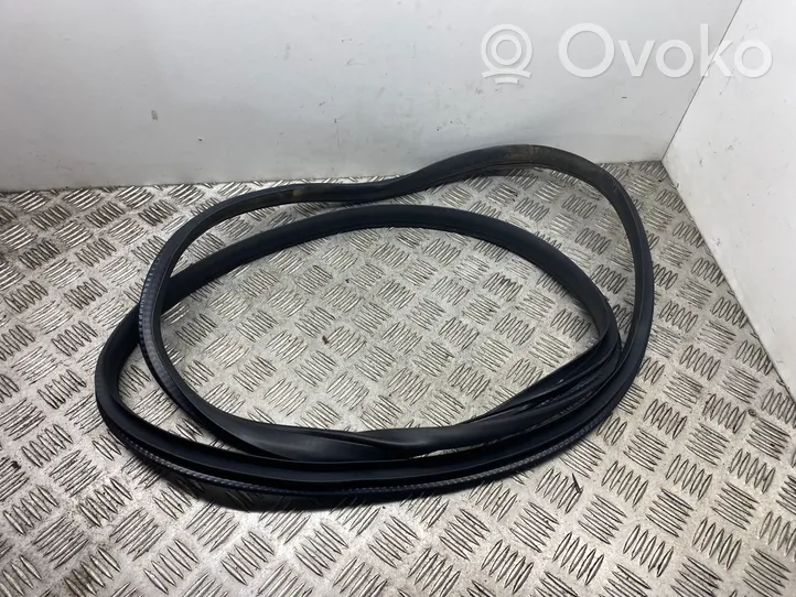 Mercedes-Benz A W176 Rear door rubber seal (on body) A1766920176