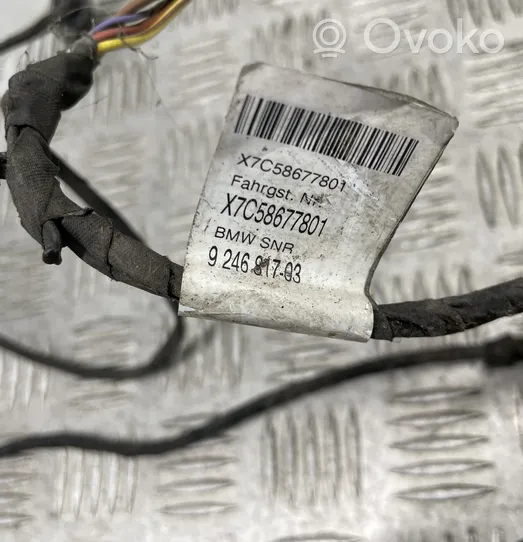 BMW M5 Other wiring loom 9246817
