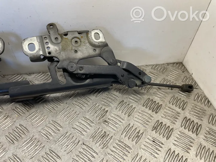 BMW 4 F36 Gran coupe Cerniere del vano motore/cofano 7336699