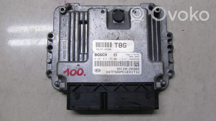 KIA Optima Komputer / Sterownik ECU silnika 