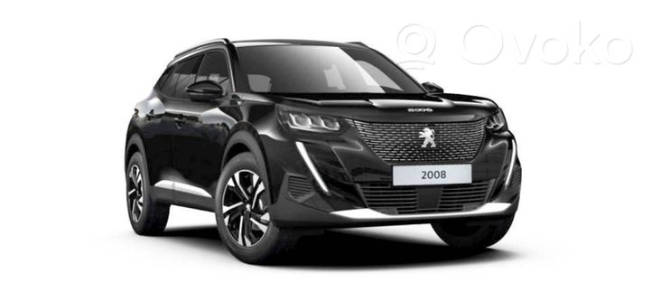 Peugeot 2008 II Cerniera superiore della portiera posteriore ZAWIAS PRAWY TYŁ GÓRNY