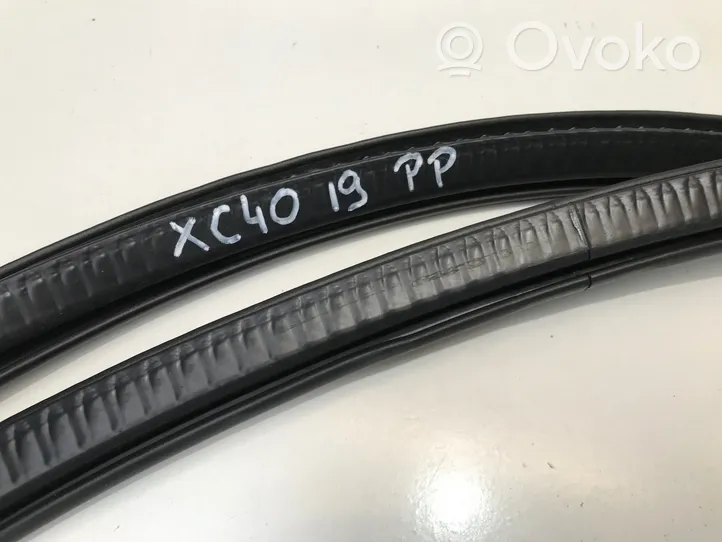 Volvo XC40 Rubber seal front door (on door) 31425988