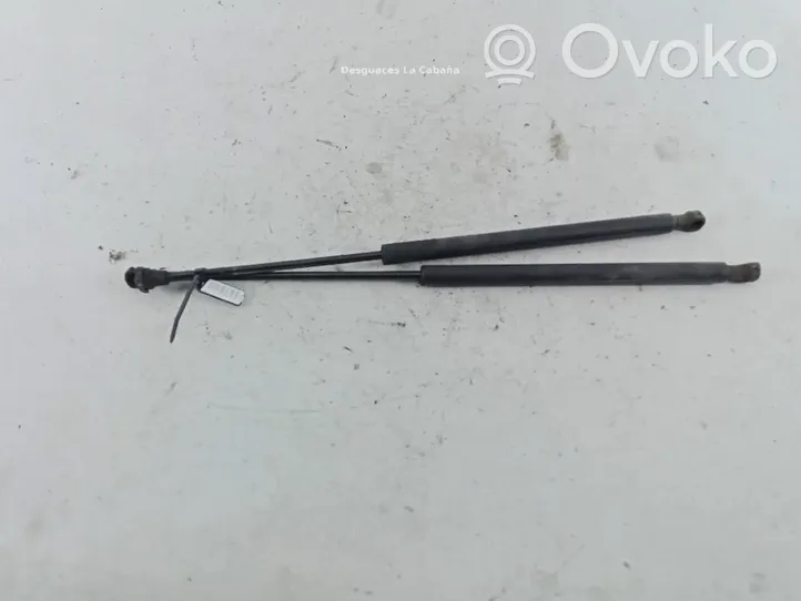 Citroen C5 Rear window strut damper 9638852280