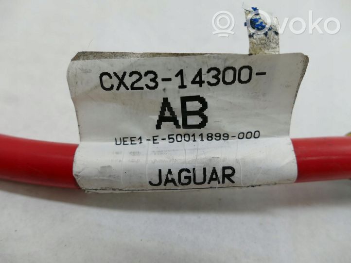 Jaguar XF Pluskaapeli (akku) CX2314300AB