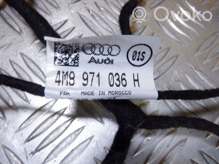 Audi Q8 Priekšējo durvju vadu instalācija 4M8971036H