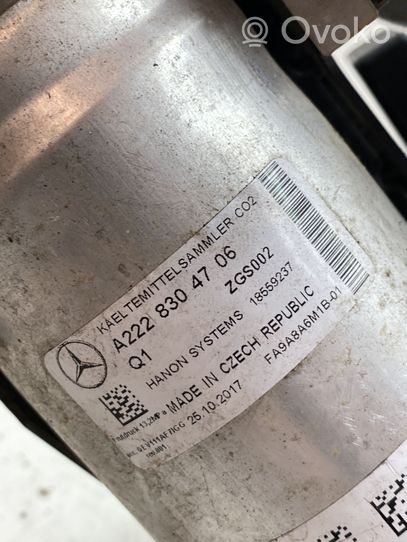 Mercedes-Benz S W222 Filtro essiccatore aria condizionata (A/C) A2228304706