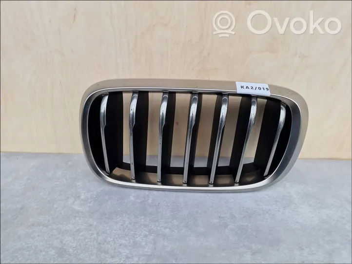 BMW X6 F16 Front grill 51137349387