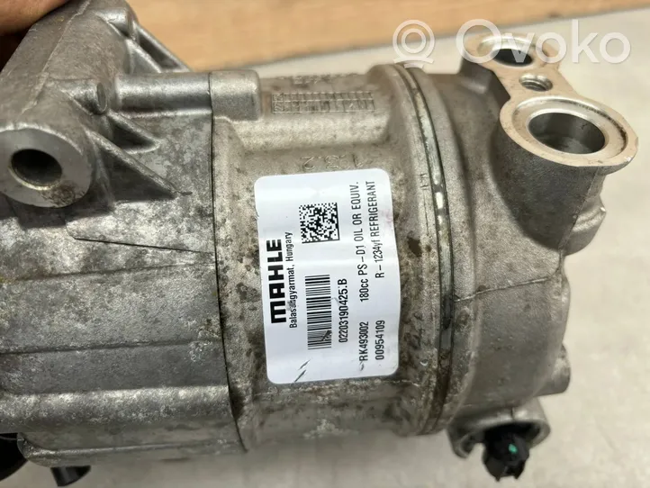 Maserati Levante Compressore aria condizionata (A/C) (pompa) RK493002