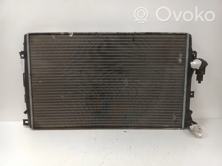 Ford Escort Dzesēšanas šķidruma radiators 1K0121253AA