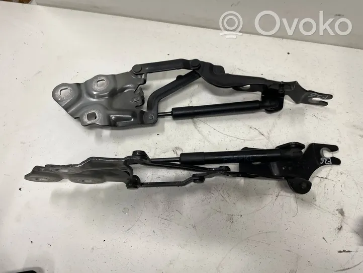 BMW X4 F26 Cerniere del vano motore/cofano 7210730