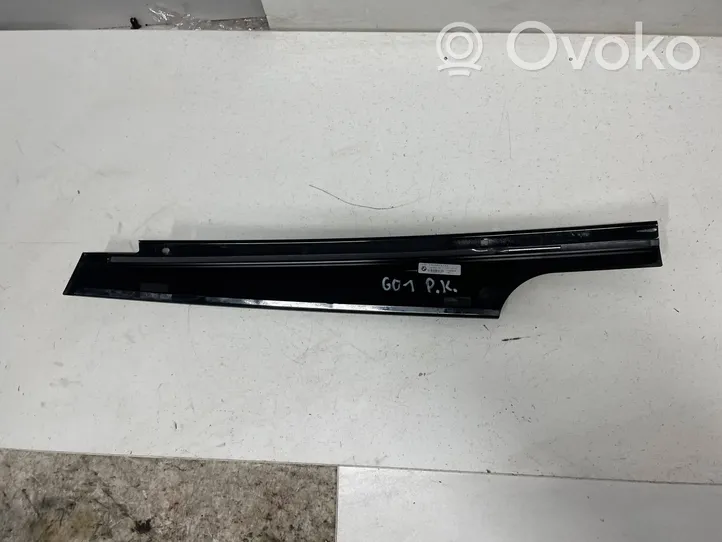 BMW X3 G01 Altro elemento di rivestimento della portiera anteriore 7410021