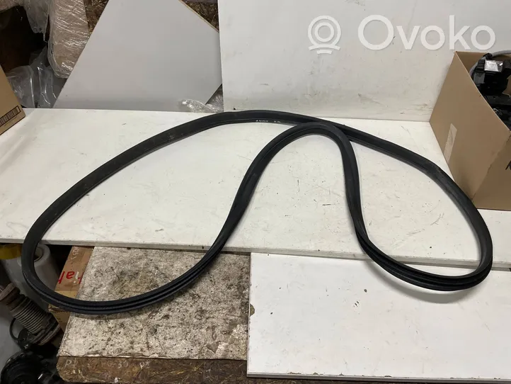 Ford S-MAX Front door rubber seal 