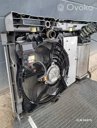 Peugeot 208 Kit Radiateur 