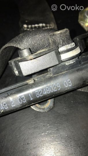 BMW X5 E53 Ceinture de sécurité avant 8248029