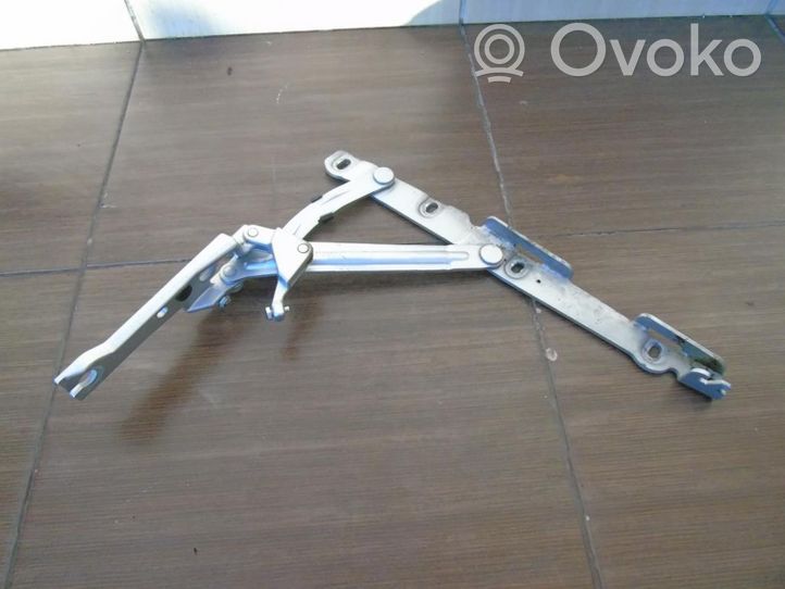 Mercedes-Benz CL C215 Cerniera portellone posteriore/bagagliaio 2157500387