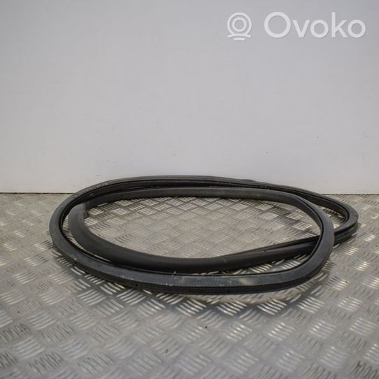 Volkswagen PASSAT B6 Rubber seal rear door 3C5867913B