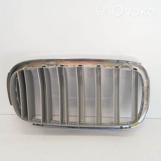 BMW X5 F15 Grille inférieure de pare-chocs avant 51117303107