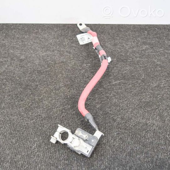 Tesla Model X Cable positivo (batería) 103688300E