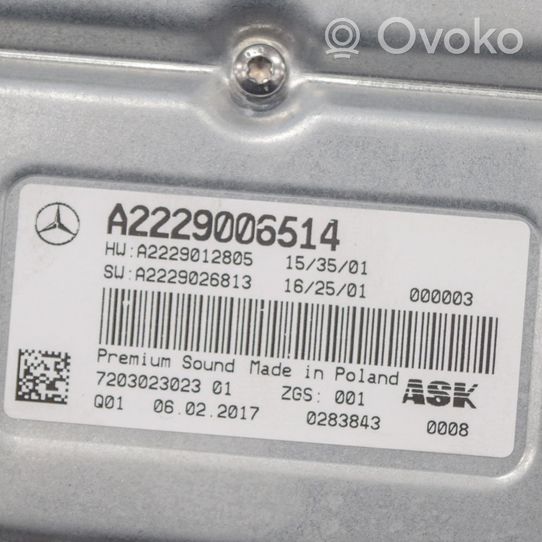 Mercedes-Benz GLC X253 C253 Garso sistemos komplektas A2229006514