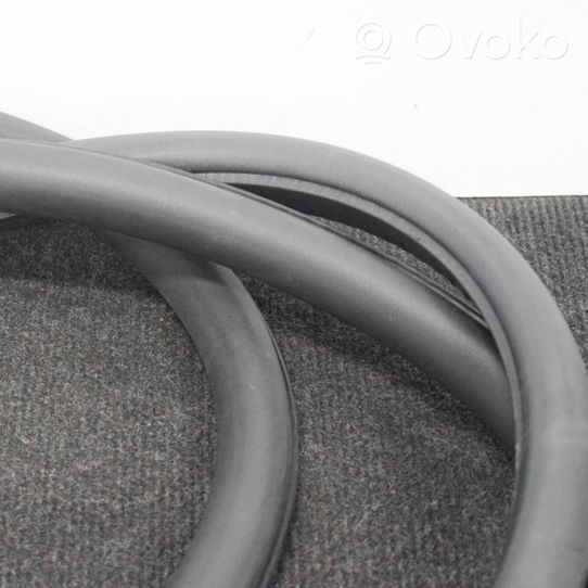BMW 7 F01 F02 F03 F04 Rubber seal front coupe door 7177999