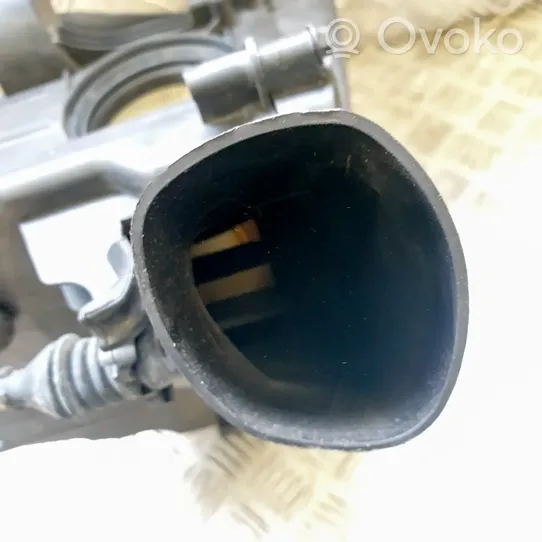 Ford Focus Oro filtro dėžė 72344994