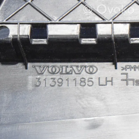 Volvo V40 Rivestimento modanatura del vetro della portiera posteriore 31391185
