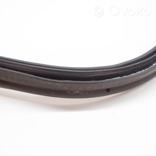 Ford Focus Trunk rubber seal (body) 8V41S404A06