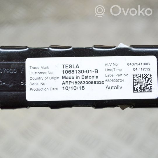 Tesla Model 3 Sicherheitsgurthöhenversteller 106813001B