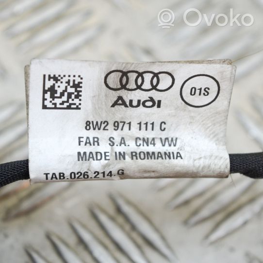 Audi A5 Wiązka przewodów hamulcowych 8W2971111C