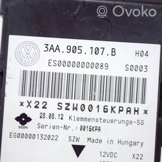 Volkswagen PASSAT B7 Unidad de control/módulo del control remoto 3AA905107B