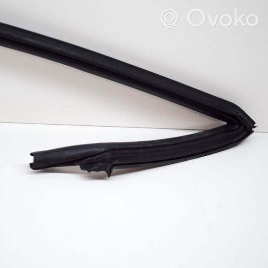 Volkswagen Scirocco Rubber seal front coupe door 1K8867337