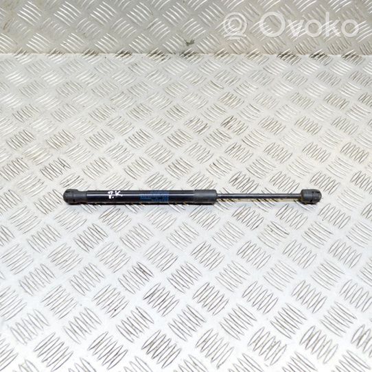 BMW i3 Ammortizzatore portellone anteriore/cofano 7299161