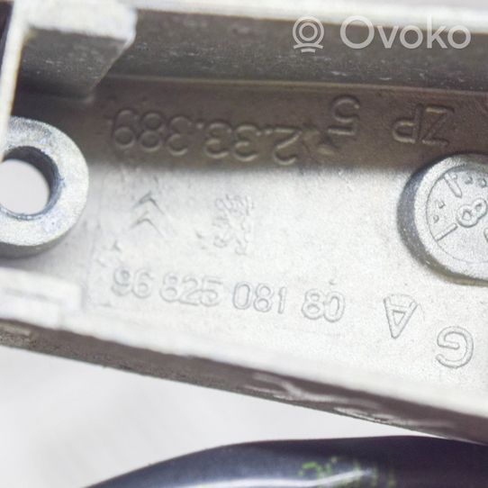 Citroen C6 Poignée inférieure de porte avant 9682508180