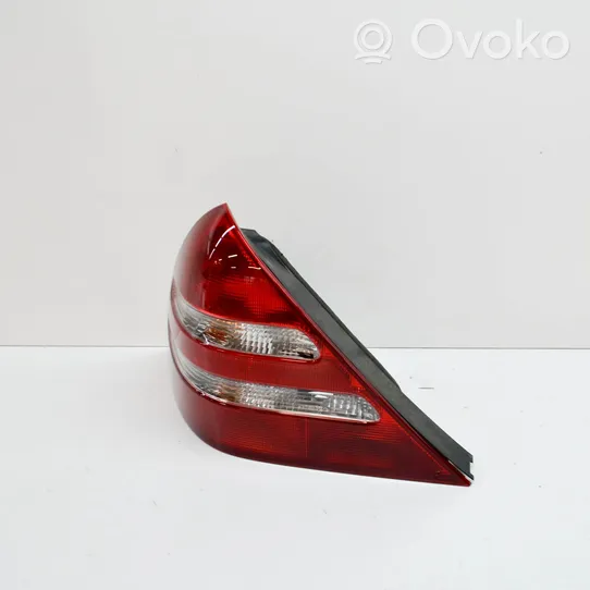 Mercedes-Benz SLK R170 Luci posteriori A1708202164