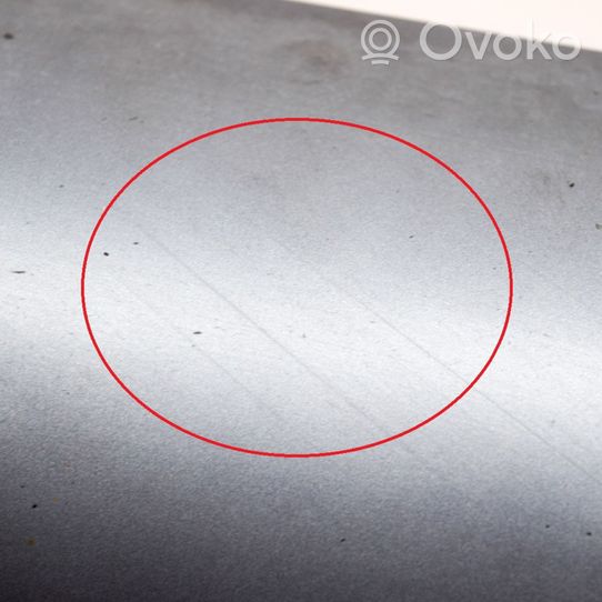 Audi Q7 4L Rivestimento della portiera anteriore (modanatura) 4L0853959L