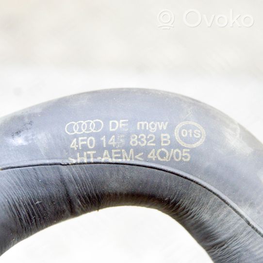 Audi A6 S6 C6 4F Intake resonator 8E0129955