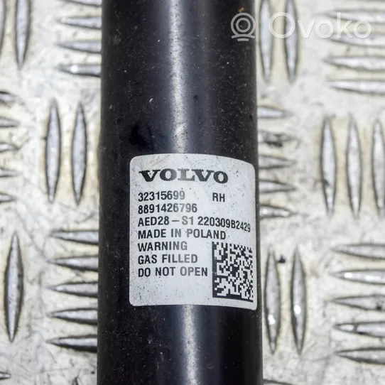 Volvo XC40 Ammortizzatore posteriore 31476914