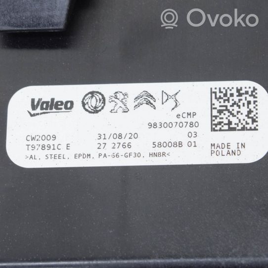 Peugeot 2008 II Other control units/modules 9830070780