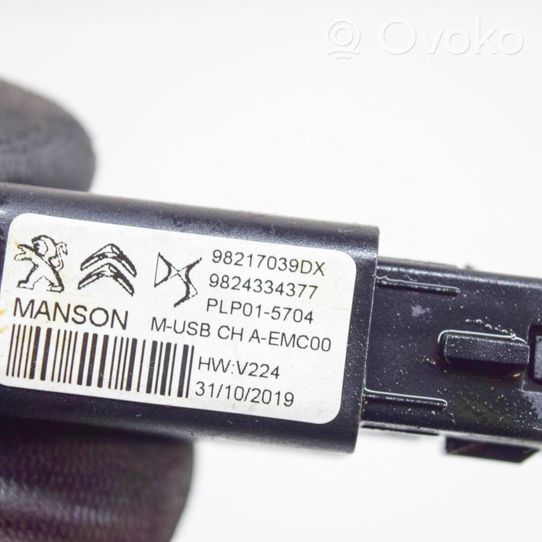 Peugeot 208 Gniazdo / Złącze USB 98217039DX