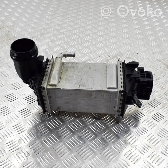 Volkswagen Golf VIII Radiatore intercooler 04E145785E