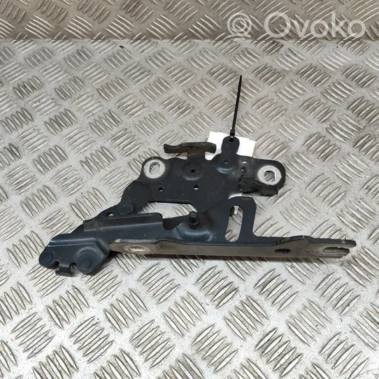 BMW 4 F32 F33 Cerniere del vano motore/cofano 7336700