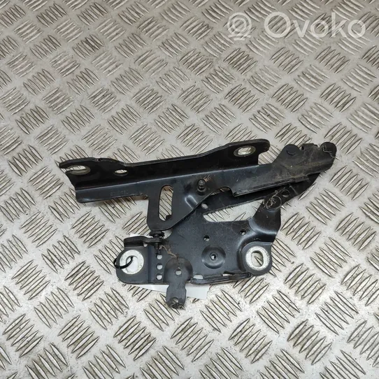 BMW 3 F30 F35 F31 Cerniere del vano motore/cofano 7336700