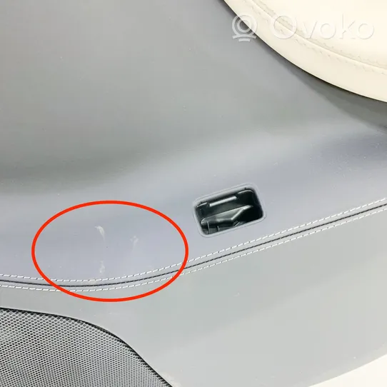 Tesla Model S Rivestimento del pannello della portiera posteriore 100810700