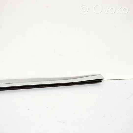 Volvo XC60 Rear door glass trim molding 31371114