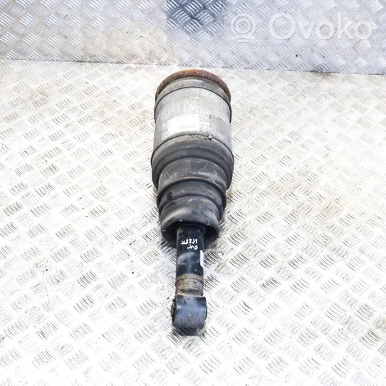 Land Rover Range Rover Sport L320 Ammortizzatore/sospensione pneumatica 22241480