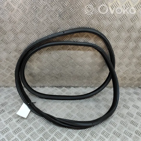 BMW 3 GT F34 Rubber seal front coupe door 7385025