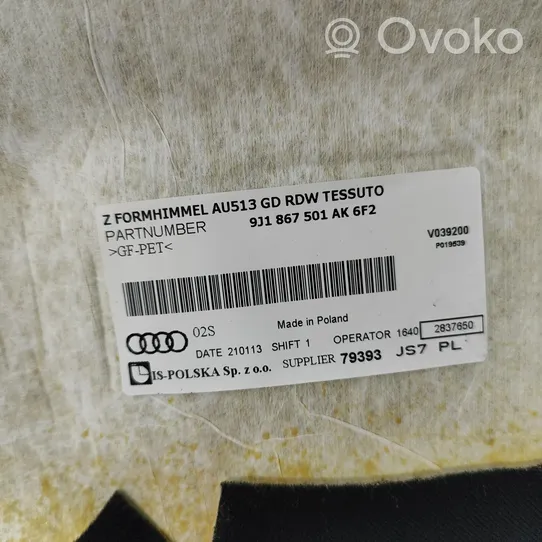 Audi E-tron GT Rivestimento del tetto 9J1867501AK